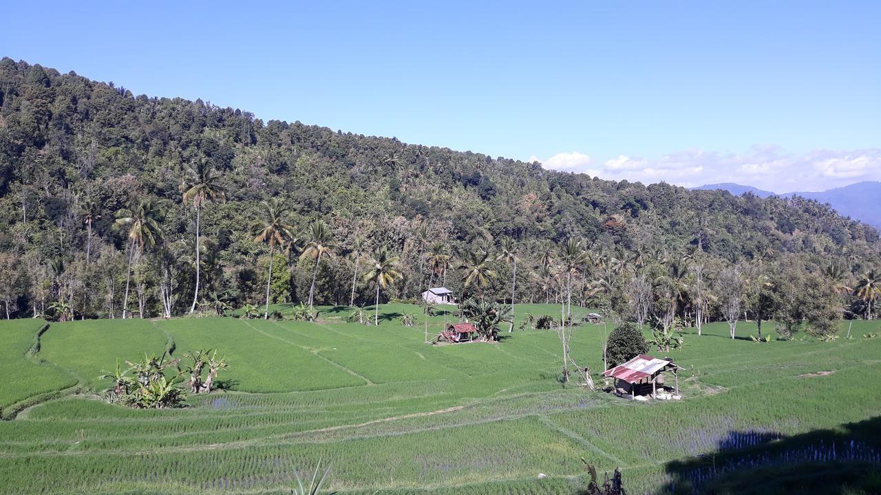 Bagus Beach Resort Lovina Pabean Buleleng Kültér fotó
